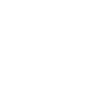Investor